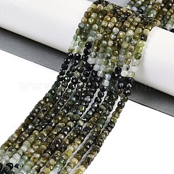 ナチュラルグリーントルマリンビーズ連売り  多面カット  キューブ  4x4x4mm  穴：0.8mm  約100個/連  15.55''（39.5センチメートル）&nbsp;G-P553-E04-03