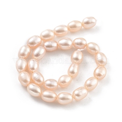 Natural Cultured Freshwater Pearl Beads Strands&nbsp;PEAR-P062-06G-X