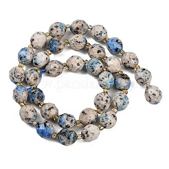 Dyed Natural Sesame Jasper Beads Strands&nbsp;G-N342-149I-01
