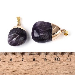 Natural Amethyst Pendants&nbsp;G-N360-05G-06