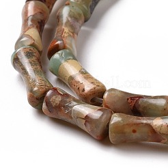 Natural Aqua Terra Jasper Beads Strands&nbsp;G-C245-11