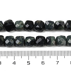 Natural Kambaba Jasper Beads Strands&nbsp;G-H078-C46-6mm