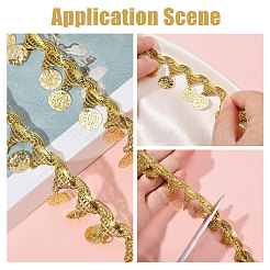 Polyester Metallic Thread & Sequins Lace Tassel Ribbon&nbsp;OCOR-WH0105-237A