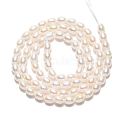 Natural Cultured Freshwater Pearl Beads Strands&nbsp;PEAR-N024-03-4AB
