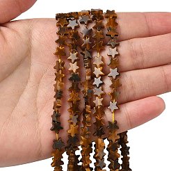 天然石タイガーアイビーズ連売り  スター  6x6x2mm  穴：0.7mm  約72個/連  14.96''（38センチメートル）&nbsp;G-F817-A06-01