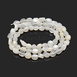 ナチュラル ホワイト ムーンストーン ナゲット ビーズ 連売り  タンブルストーン  5~10x6~7x3~7mm  穴：1mm  約14.9インチ〜15.7インチ&nbsp;G-J335-45