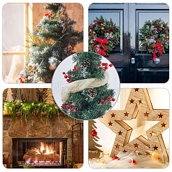 Polyester Decorative Mesh Ribbon for Christmas Trees&nbsp;SIL-WH20025-050D