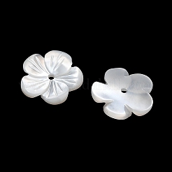 ナチュラルホワイトシェルビーズ  花  ホワイト  10x10x2mm  穴：0.8mm&nbsp;SH-CBA93AD-07B