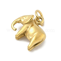 304 Stainless Steel Charms&nbsp;STAS-P391-01C-G