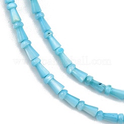 Natural Freshwater Shell Beads Strands&nbsp;SHEL-G013-02C