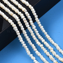 天然養殖淡水パール ビーズ 連  フラットラウンド  貝殻色  3~4x2.5~3mm  穴：0.6mm  約148~152個/連  14.09インチ〜14.25インチ（35.8~36.2cm）&nbsp;PEAR-N015-03B