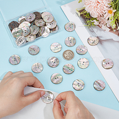 50Pcs 2-Hole Shell Buttons&nbsp;BUTT-PH0001-87