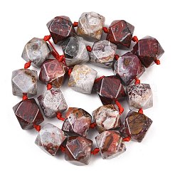 天然メキシコ瑪瑙/クレイジーレース瑪瑙ビーズ連売り  多面カット  菱形  14~14.5x13.5~14x13.5~14mm  穴：1.2mm  約21~22個/連  16.14~17.13''（41~43.5センチメートル）&nbsp;G-B187-A01-01