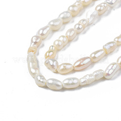天然養殖淡水パールビーズ連売り  ライス  貝殻色  2.5~8x2.5~3.5mm  穴：0.6mm  約69~75個/連  13.98インチ〜14.17インチ（35.5cm〜36cm）&nbsp;X-PEAR-N012-02F