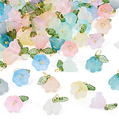 72Pcs 12 Colors Glass & Acylic Flower Pendants&nbsp;PALLOY-TAC0259