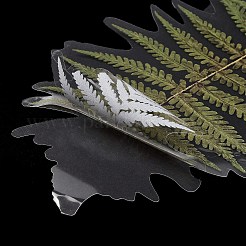 6Pcs Plant PET Adhesive Waterproof Stickers&nbsp;DIY-K074-01E
