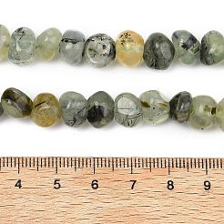 Natural Prehnite Beads Strands&nbsp;G-P617-B01-01