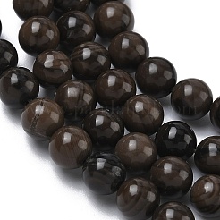 Natural Wood Lace Stone Wooden Jasper Beads Strands&nbsp;G-K365-F03-6mm