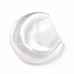 Natural White Shell Beads Sets&nbsp;SSHEL-N032-52A-01