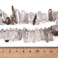 Natural Green Lodolite Quartz/Garden Quartz/Green Phantom Quartz Beads Strands&nbsp;G-N362-16A-01