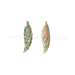 2Pcs Handmade Natrual Paua Shell Carved Big Pendants&nbsp;FIND-BC0013-54