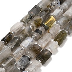 Natural Labradorite Beads Strands&nbsp;G-F836-B06-01