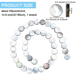 天然ブラックリップシェルビーズ連売り  フラットラウンド  10x3.5mm  穴：0.6mm  約40個/連  15.35インチ（39cm）&nbsp;SHEL-BC0001-025