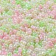 Glass Seed Beads&nbsp;SEED-K009-02B-19-3