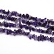 Natural Amethyst Beads Strands&nbsp;G-O049-C-23-1