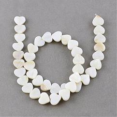 Natural Freshwater Shell Beads Strands, Heart, Creamy White, 10x10~11x3mm, Hole: 0.8~0.9mm, about 40pcs/strand, 14.1 inch