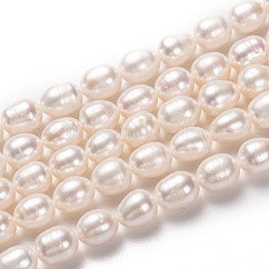 天然養殖淡水パールビーズ連売り  ライス  ビスク  9x8mm  穴：0.8mm  約41個/連  14.96インチ（38cm）