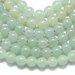 Natural Malaysia Jade Beads Strands&nbsp;G-L645-A01-6mm-21