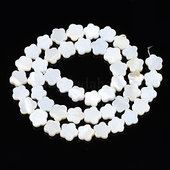 天然淡水シェルビーズ連売り  花  貝殻色  8~9x8~9x2.5mm  穴：0.8mm  約47~48個/連  14.88インチ〜15.24インチ（37.8cm〜38.7cm）&nbsp;SHEL-S278-078A-01
