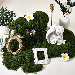 ポリエステル人工苔1個  diyの工芸品の結婚式の家の装飾のため  ダークオリーブグリーン  0.2mm&nbsp;AJEW-GF0012-26