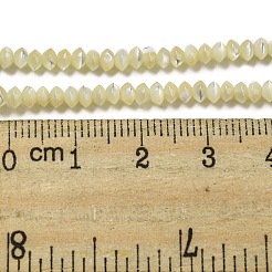 天然トロカス貝ロンデルビーズ連売り  ソーサービーズ  淡いチソウ  3x2mm  穴：0.5mm  約202~205個/連  15.94~16.14''（40.5~41センチメートル）&nbsp;SSHEL-H072-01A