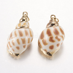 電気メッキ巻き貝ペンダント  真鍮パーツ  巻き貝  ゴールドカラー  25~33x14~19x11~15mm  穴：3mm&nbsp;SSHEL-J051-04