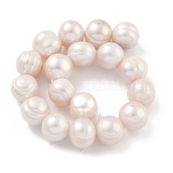 Natural Cultured Freshwater Pearl Beads Strands&nbsp;PEAR-C003-21E