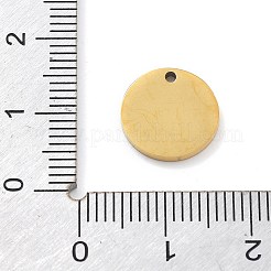 304 Stainless Steel Charms&nbsp;LS-STAS-I327-01G-02