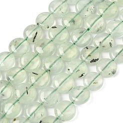 天然石プレナイトビーズ連売り  フラットラウンド  12~13x4.5~5.5mm  穴：1mm  約33個/連  15.75インチ（40cm）&nbsp;G-F790-H03-03