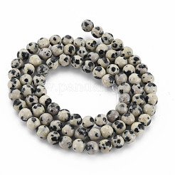Natural Dalmatian Jasper Bead Strands&nbsp;G-R345-4mm-51-01