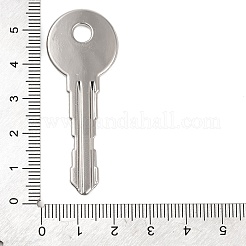 ラックメッキ合金ペンダント  カドミウムフリー＆ニッケルフリー＆鉛フリー  キー  プラチナ  54x20.5x2mm  穴：4.5mm&nbsp;PALLOY-P306-06P