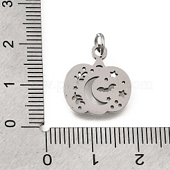 304 Stainless Steel Pendants&nbsp;SA-CBA4CE0-10P