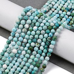 Natural HuBei Turquoise Beads Strands&nbsp;G-B130-A01-03
