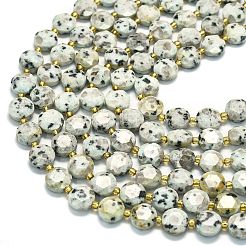 Natural Sesame Jasper Beads Strands&nbsp;G-C116-A141-01