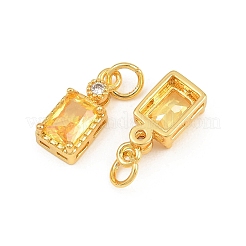 Brass Pave Cubic Zirconia Charms&nbsp;CU-CBA3D67-07G-02
