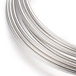 Steel Memory Wire&nbsp;X-MW5.5CM-1-NF