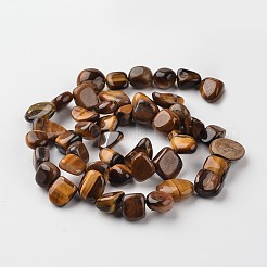 Nuggets Natural Tiger Eye Bead Strands&nbsp;G-M341-16