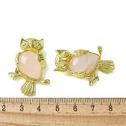 天然石ローズクォーツペンダント  真鍮のフクロウのチャーム  ゴールドカラー  ラックめっき  カドミウムフリー＆鉛フリー  36.5x26.5x7.5mm  穴：6.5x4.5mm&nbsp;KK-F888-02G-22