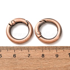 合金プッシュ式リングカン  Oリング  赤銅鉱  6ゲージ  20x4mm  内径：12mm&nbsp;X-PALLOY-H245-R