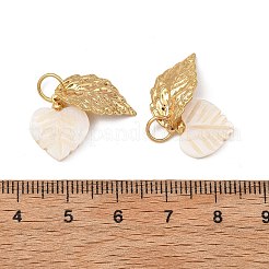Natural Freshwater Shell & 304 Stainless Steel Pendants&nbsp;PALLOY-JF05800